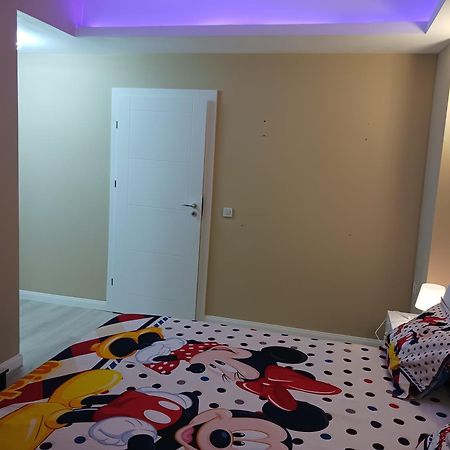 Myky Mouse Nu Primesc Santieristi Si Petrecareti Apartman Bukarest Kültér fotó