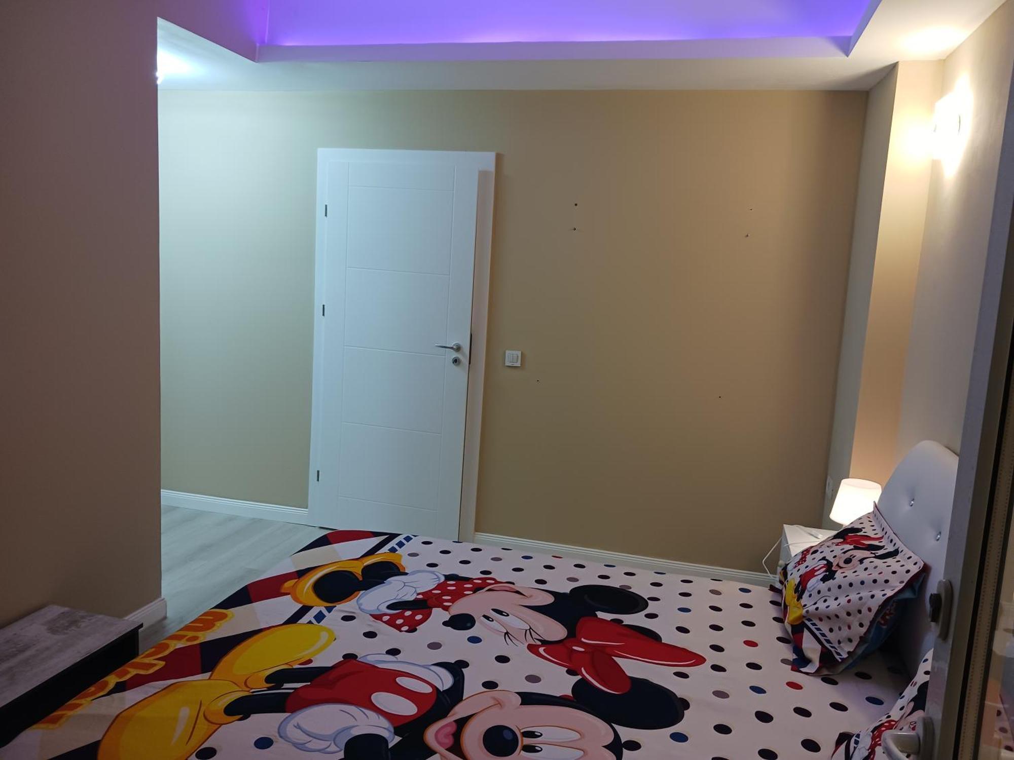 Myky Mouse Nu Primesc Santieristi Si Petrecareti Apartman Bukarest Kültér fotó