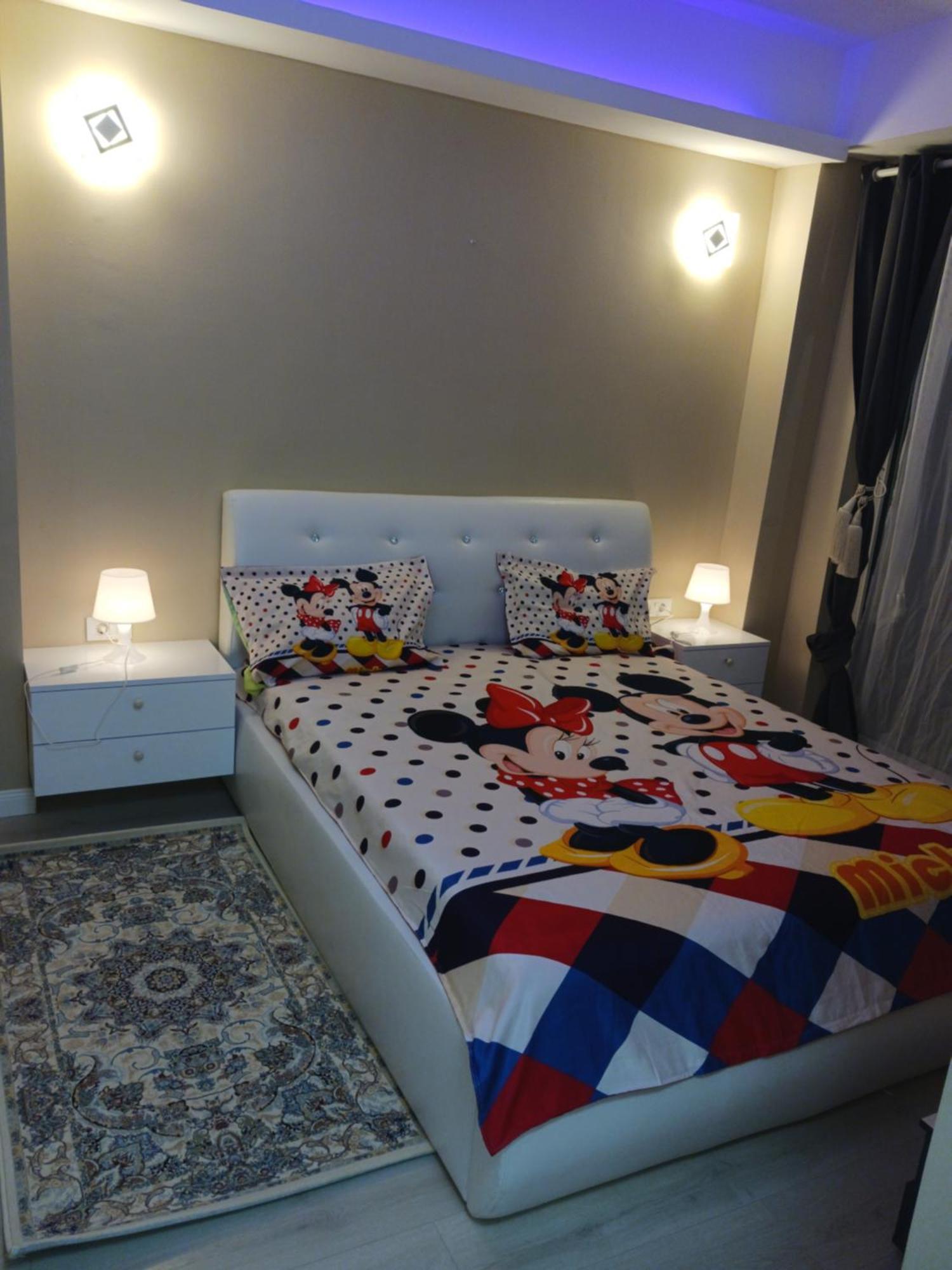 Myky Mouse Nu Primesc Santieristi Si Petrecareti Apartman Bukarest Kültér fotó