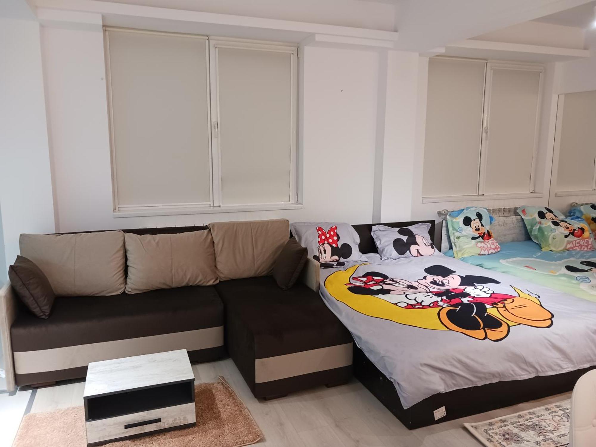 Myky Mouse Nu Primesc Santieristi Si Petrecareti Apartman Bukarest Kültér fotó