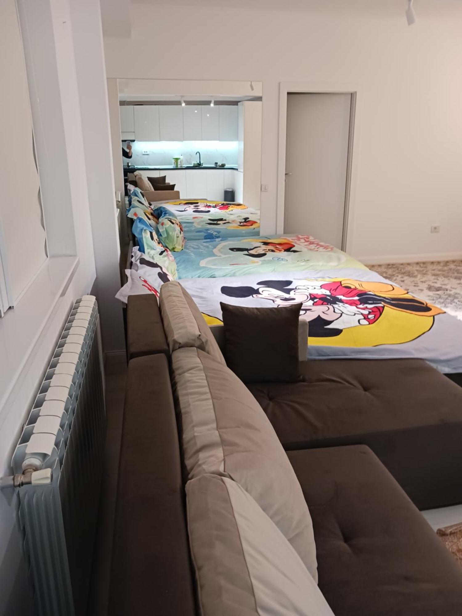 Myky Mouse Nu Primesc Santieristi Si Petrecareti Apartman Bukarest Kültér fotó