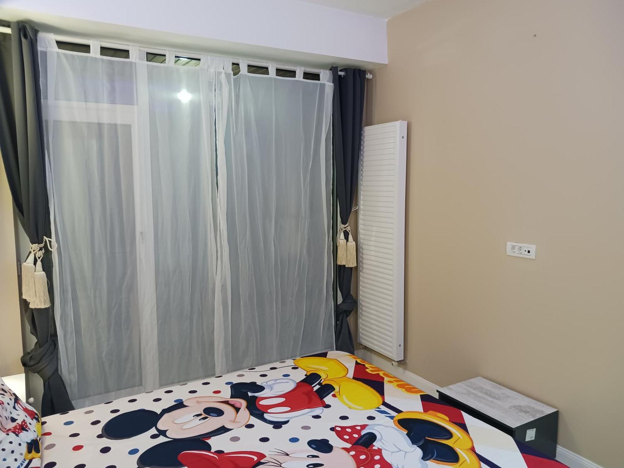 Myky Mouse Nu Primesc Santieristi Si Petrecareti Apartman Bukarest Kültér fotó