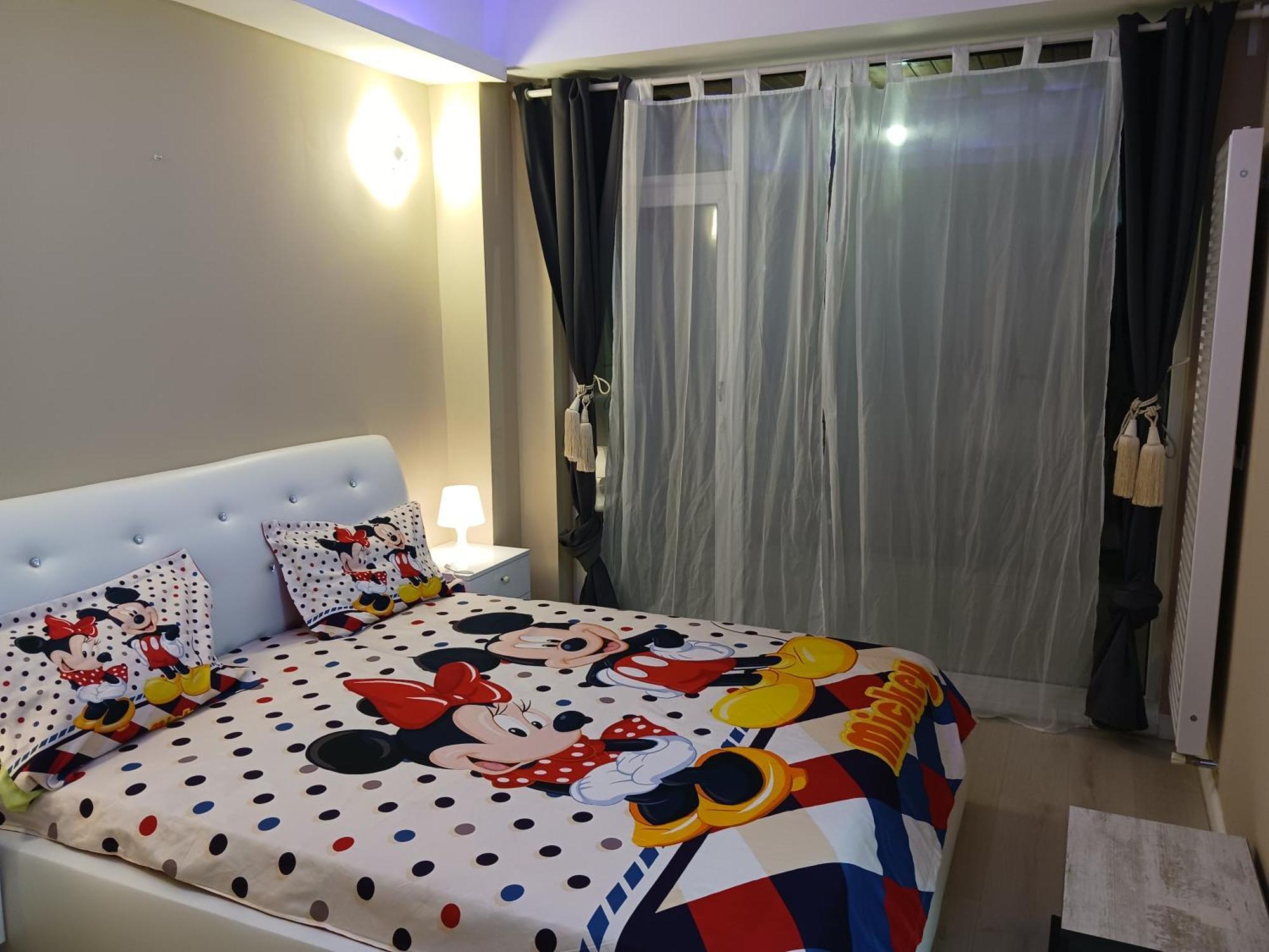 Myky Mouse Nu Primesc Santieristi Si Petrecareti Apartman Bukarest Kültér fotó