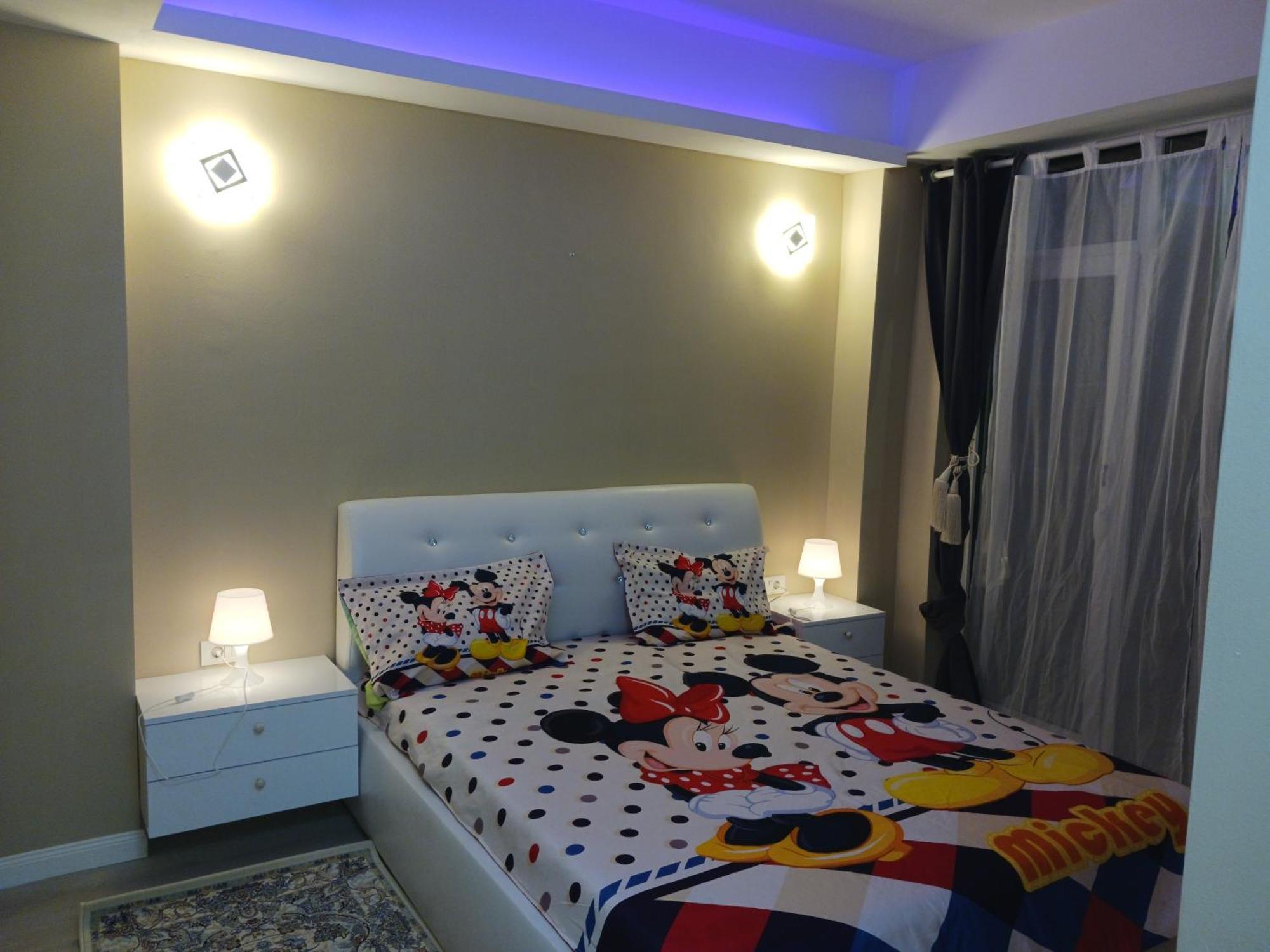 Myky Mouse Nu Primesc Santieristi Si Petrecareti Apartman Bukarest Kültér fotó