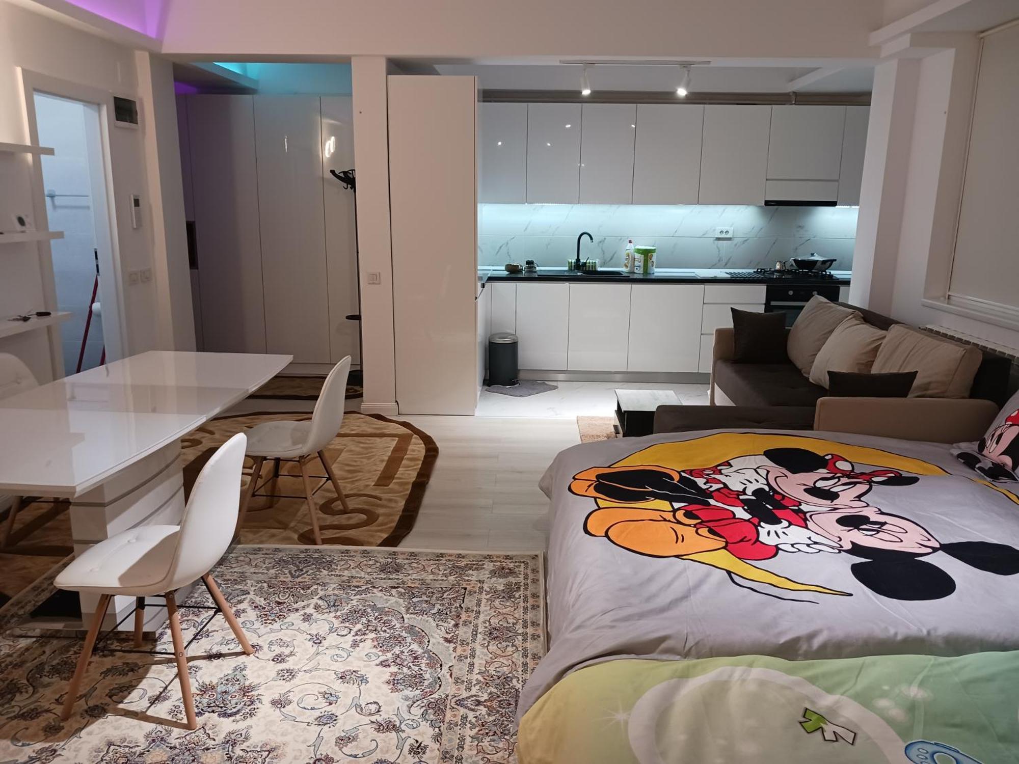 Myky Mouse Nu Primesc Santieristi Si Petrecareti Apartman Bukarest Kültér fotó