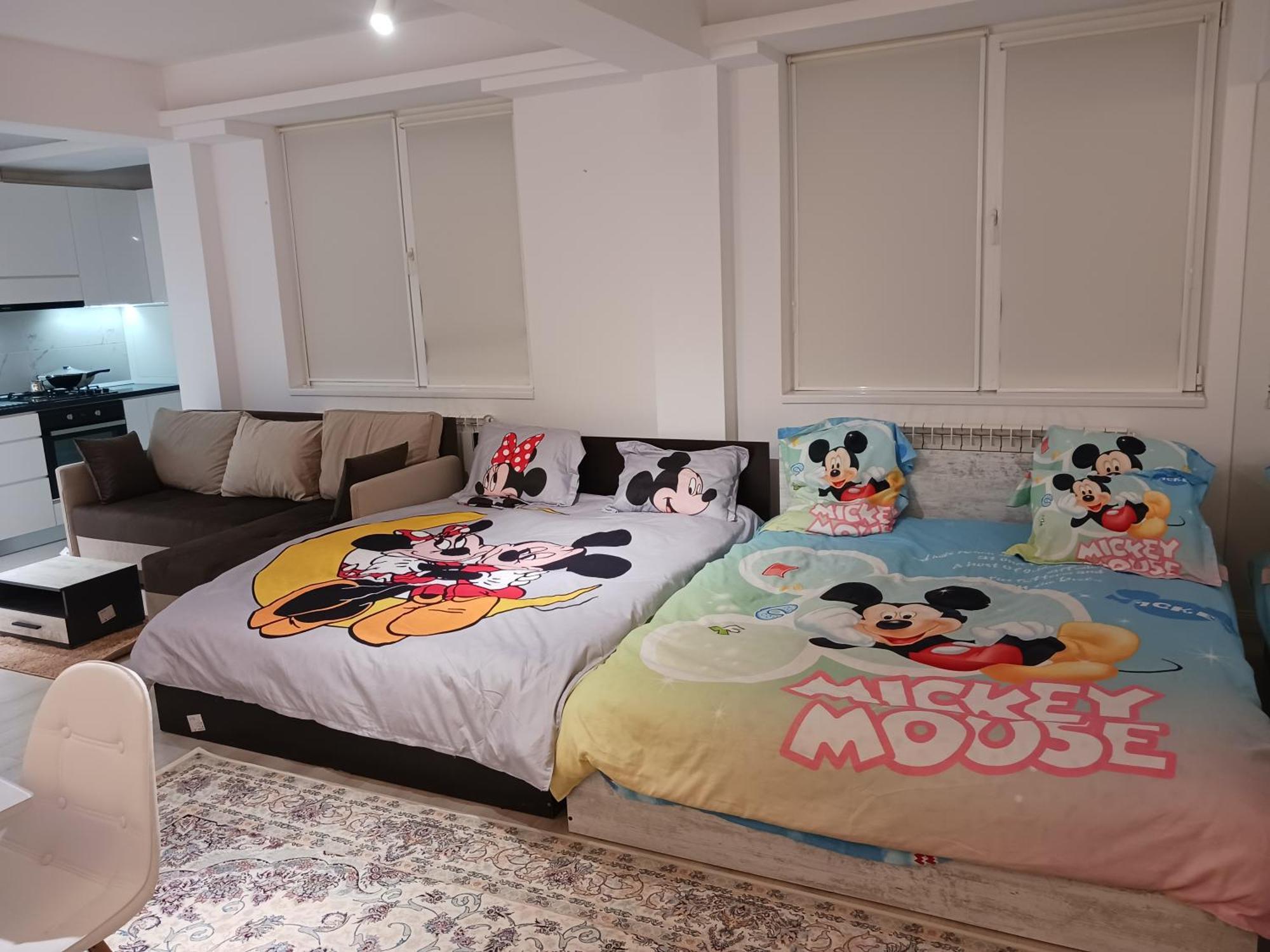 Myky Mouse Nu Primesc Santieristi Si Petrecareti Apartman Bukarest Kültér fotó