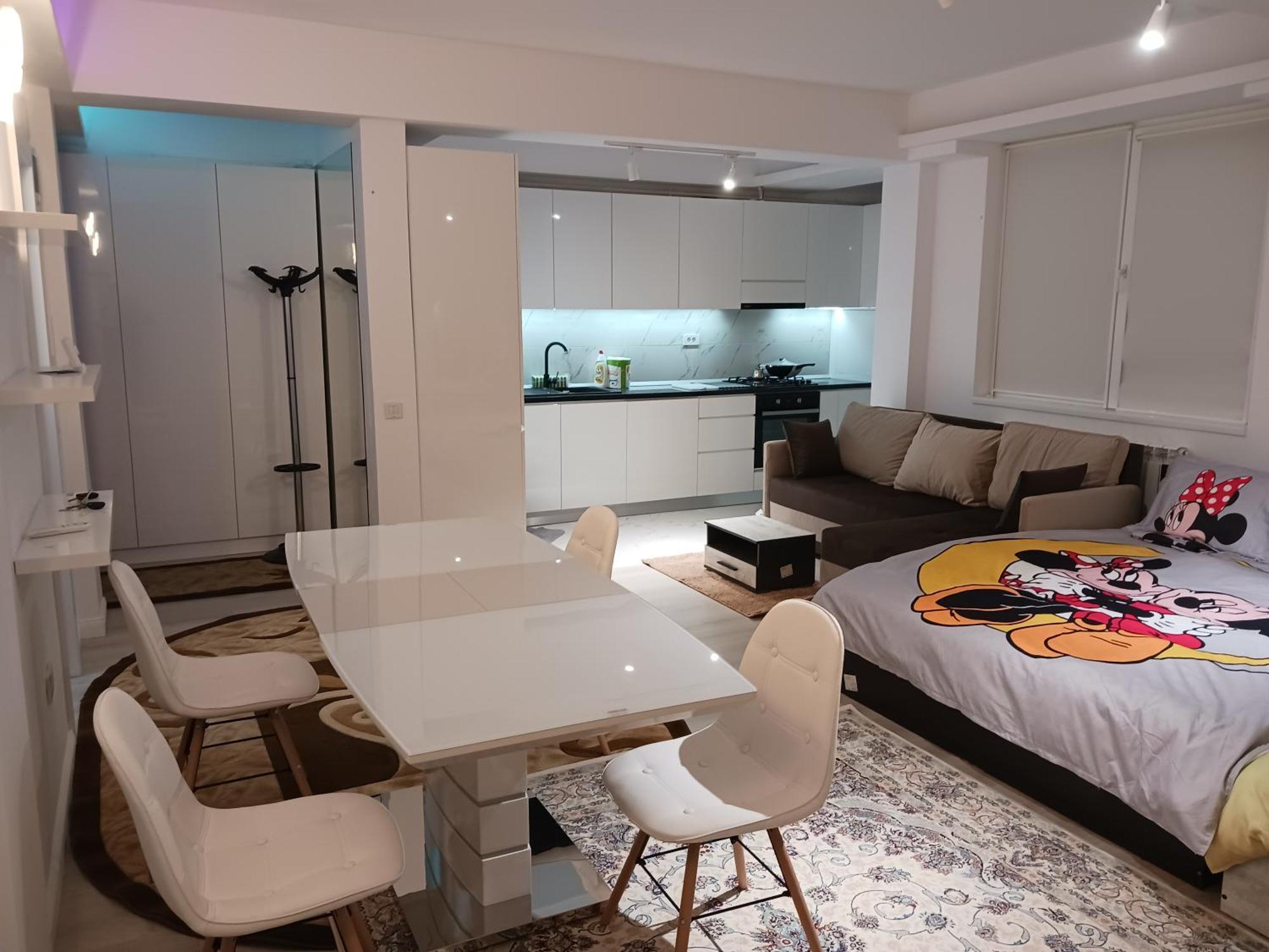 Myky Mouse Nu Primesc Santieristi Si Petrecareti Apartman Bukarest Kültér fotó